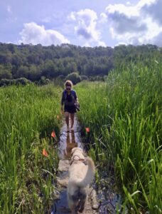 741c5065 167d 4a0d 85de 6a5efa0bba33