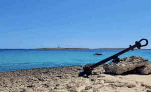 captura de pantalla 2025 03 28 a les 10.20.02