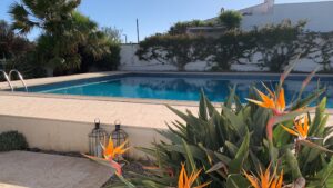 d35f71b1 59bd 42eb b731 aaa62bb7d4d5