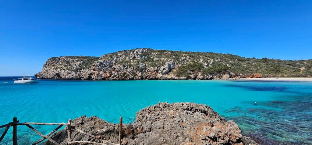 photo 2025 07 12 16 26 44