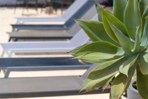 b8274916 8a86 4517 b58b 7163f124edf4